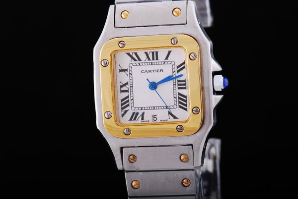 Cartier Santos 100 W200728G 29mm Stainless Steel Case Womens Watch watches