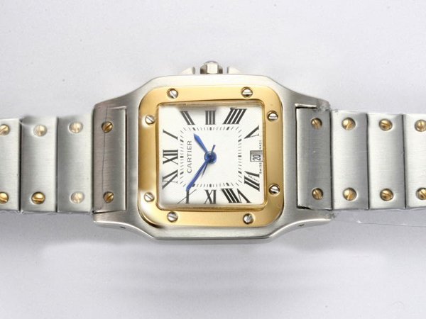 Cartier Santos 100 W200728G Mens 30x30mm Stainless Steel Case Watch watches