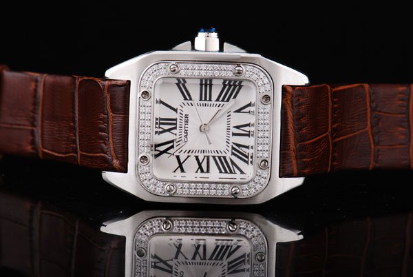 Cartier Santos 100 W20072x7 29x40mm Stainless Steel Case Watch watches