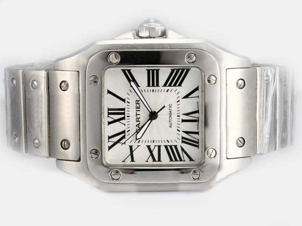 Cartier Santos 100 W200737G Stainless Steel Bezel Stainless Steel Case Mens Watch watches