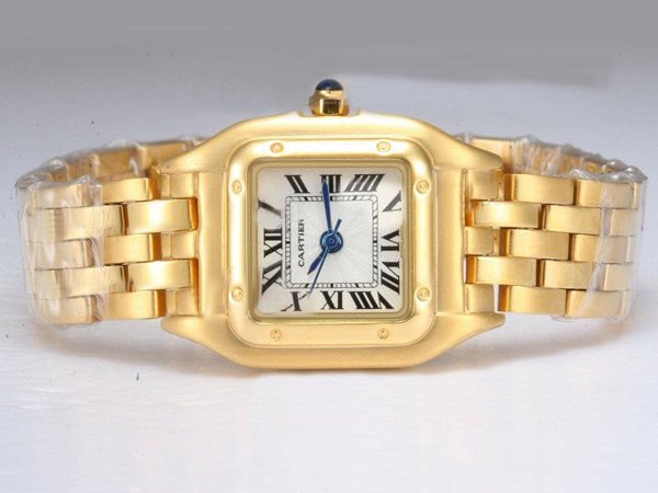 Cartier Santos 100 W200737G Stainless Steel with 18k Gold Bezel Womens Watch watches