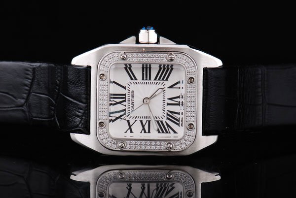 Cartier Santos 100 W20073X8 Stainless Steel Case 29x40mm Mens Watch watches