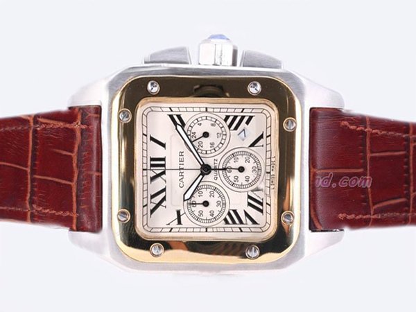 Cartier Santos 100 w20091x7 Stainless Steel Case Stainless Steel with 18k Gold Bezel Mens Watch watches