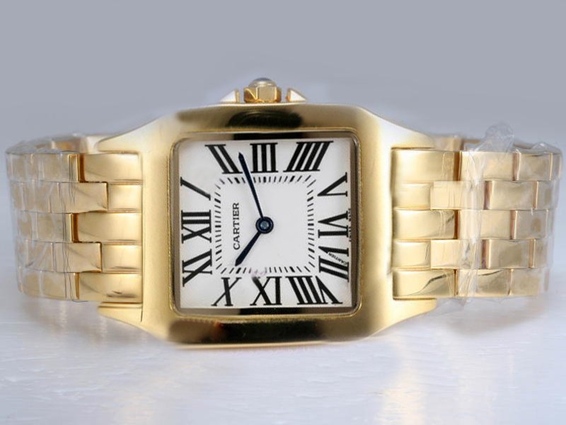 Cartier Santos 100 w25063x9 White Dial Stainless Steel with 18k Gold Bezel Quartz Watch watches