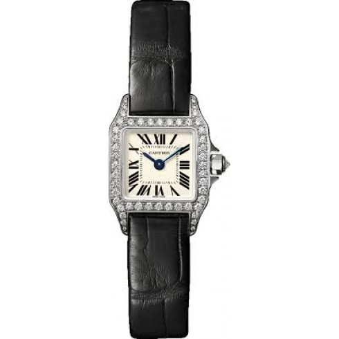 Cartier Santos Demoiselle Silver Dial Ladies Watch WF902005 watches