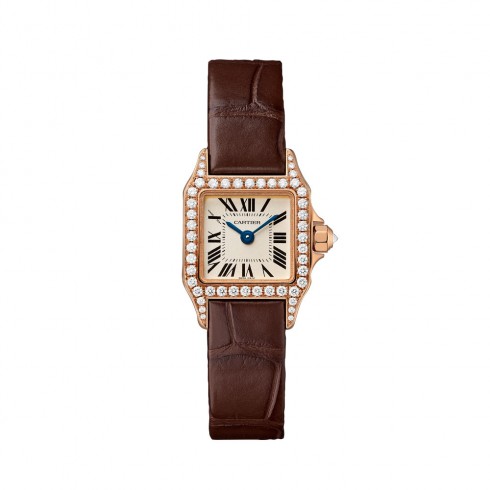 Cartier Santos Demoiselle Silver Dial Ladies Watch WF902006 watches