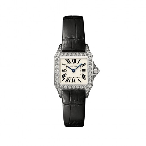 Cartier Santos Demoiselle Silver Dial Ladies Watch WF902007 watches
