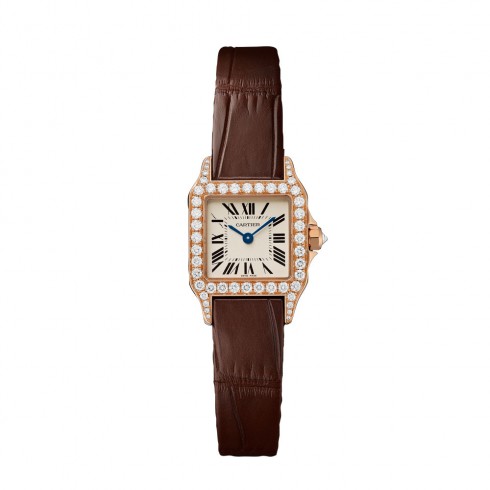 Cartier Santos Demoiselle Silver Grained Dial Ladies Watch WF902004 watches