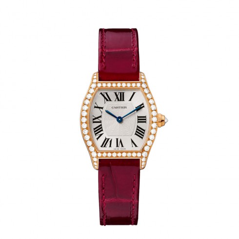 Cartier Tortue Silver Flinque Dial Ladies Watch WA501006 watches