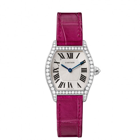 Cartier Tortue Silvered Flinque Dial Ladies Watch WA501007 watches
