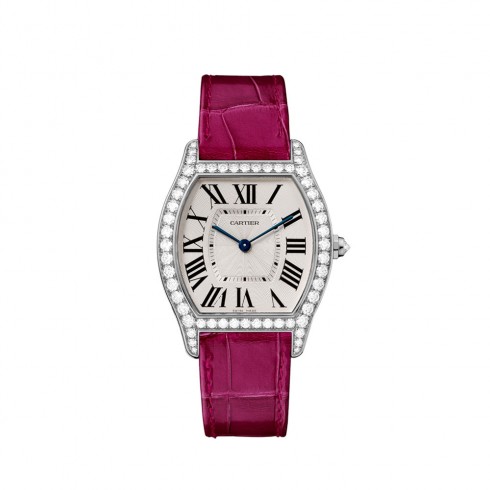 Cartier Tortue Silvered Flinque Dial Ladies Watch WA501009 watches