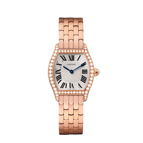 Cartier Tortue Silvered Flinque Dial Ladies Watch WA501010 watches