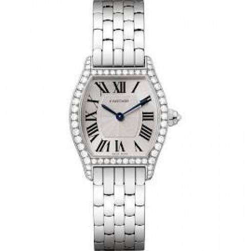 Cartier Tortue Silvered Flinque Dial Ladies Watch WA501011 watches
