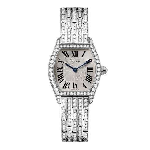 Cartier Tortue Silvered Sunray Effect Fflinque Dial Ladies Watch HPI00778 watches
