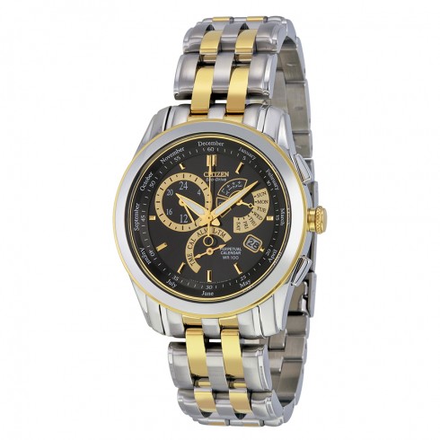 Citizen Calibre 8700 Eco-Drive Perpetual Calendar Men's Watch BL8004-53E watches