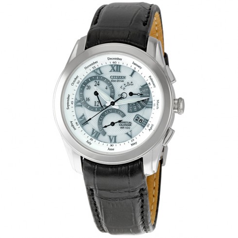 Citizen Calibre 8700 Eco-Drive Perpetual Calendar Men's Watch BL8000-03A watches
