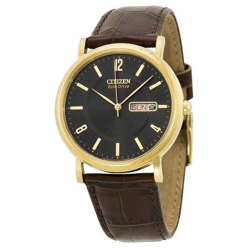 Citizen Eco Drive Black Dial Gold-tone Stainless Steel Brown Leather Men's Watch BM8242-08E watches