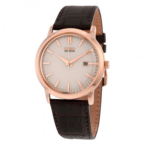 Citizen Eco-Drive Champagne Dial Brown Leather Strap Men's Watch BM7193.07B watches