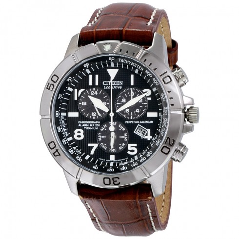 Citizen Eco-Drive Perpetual Calendar Chronograph Men's Watch BL5250-02L watches