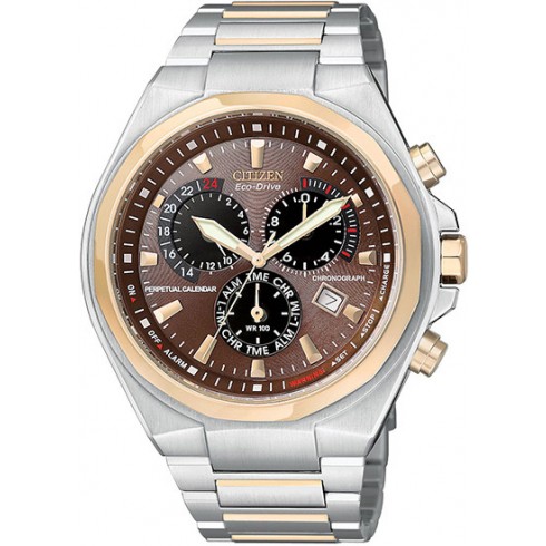Citizen Eco Drive Perpetual Calendar Men's Watch BL5416-52X watches