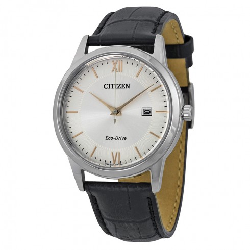 Citizen Men's Straps Eco-Drive Silver Dial Watch AW1236-03A watches