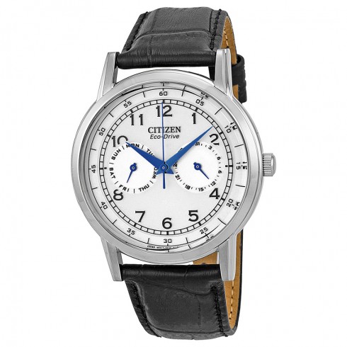 Citizen Eco-Drive Silver Dial Stainless Steel Black Leather Men's Watch AO9000-06B watches
