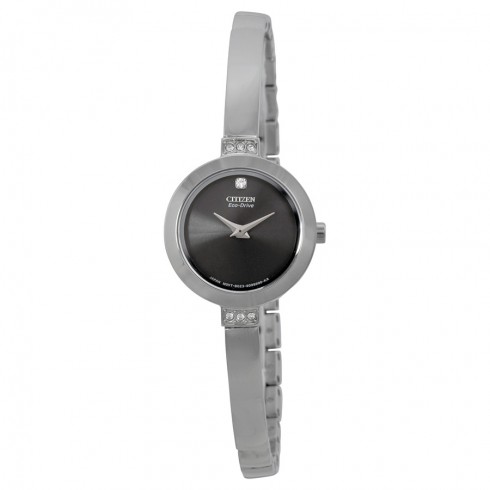 Citizen Eco Drive Stainless Steel Ladies Watch EW9920-50E watches
