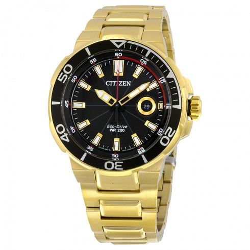 Citizen Endeavor Black Dial Men's Watch AW1422-50E watches