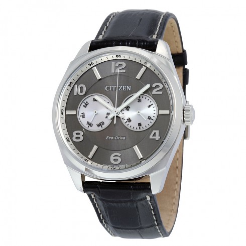 Citizen Men's Dress Eco-Drive Gray Dial Men's Watch AO9020-17H watches