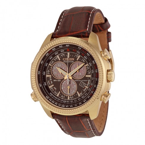 Citizen Perpetual Calendar Chronograph Brown Dial Men's Watch BL5403-03X watches
