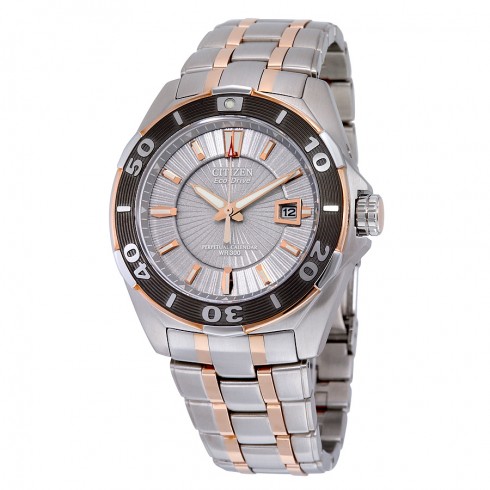 Citizen Perpetual Calendar Eco-Drive Grey Dial Two-Tone Stainless Steel Men's Watch BL1254-54A watches