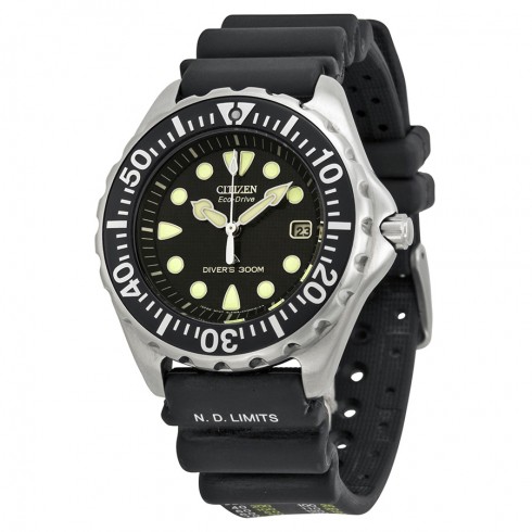 Citizen Professional Diver Eco-Drive Men's Watch BN0000-04H watches