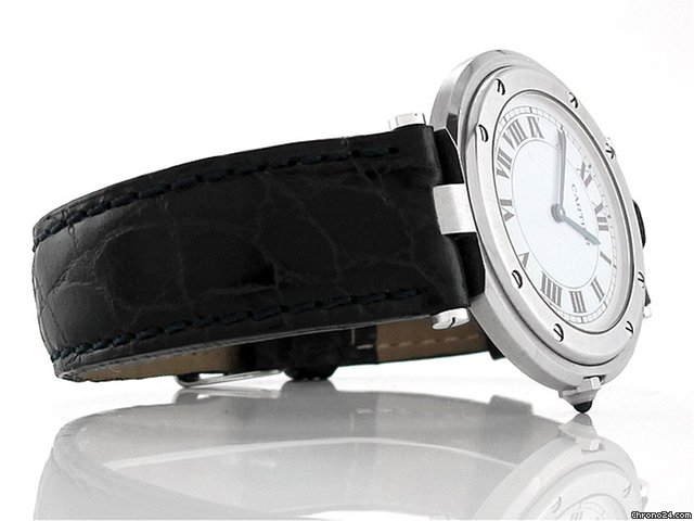 Cartier Herren "SANTOS DE CARTIER" Edelstahl Quarz WATCHES 2