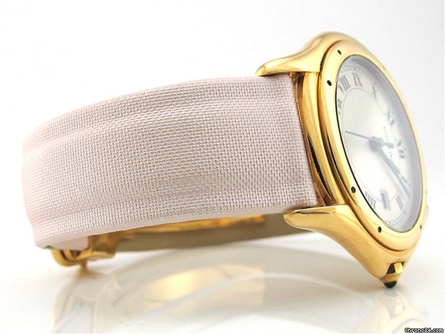 Cartier COUGAR WATCHES 2