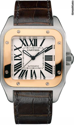 Cartier W20107X7 Watches Watch