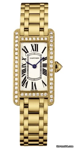Cartier WB7072K2 Watches Watch
