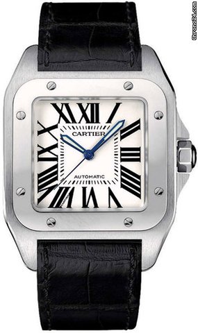Cartier W20073X8 Watches Watch