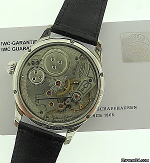 IWC Platinum