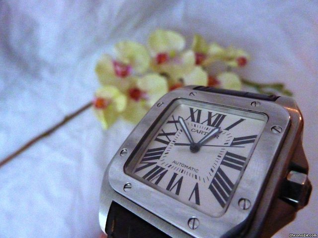replica Cartier Santos 100 WATCHES 1