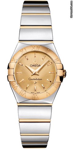 Omega 123.20.24.60.08.002 Watches Watch