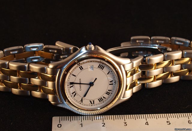 Cartier COUGAR WATCHES 2