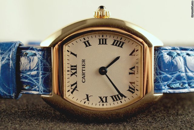 replica Cartier TORTUE WATCHES 1