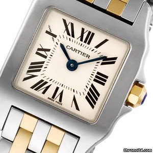 Cartier Demoiselle W25066Z6 WATCHES 2