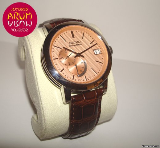Seiko Spring Drive WATCHES 2