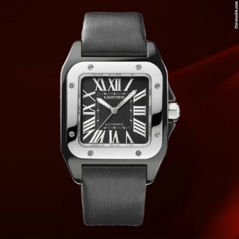 Cartier W2020008 Watches Watch