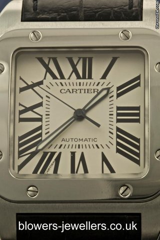 Cartier Santos 100 W20073X8 WATCHES 2