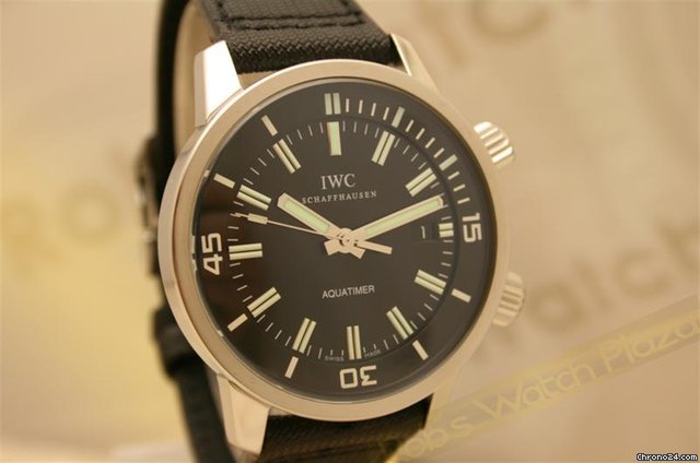 IWC IW323101 Watches Watch