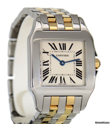 Cartier Santos Demoiselle WATCHES 2