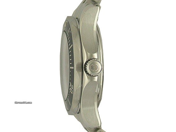 Omega Seamaster Professional Lady Diver 28mm WATCHES 2