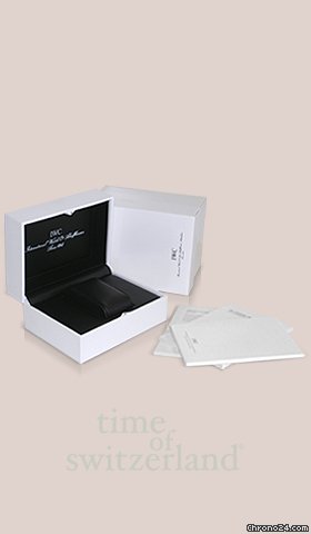 IWC Ingenieur Automatic 3234-01 WATCHES 2
